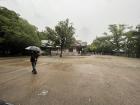 Rainy day: I forgot to buy an umbrella, so I got a bit wet!
