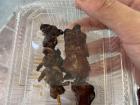 I choose 2 (for 200 yen) chicken thigh and chicken liver 