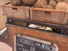 Fresh coconuts at the market 