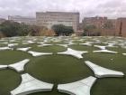 NTU's Social Sciences library has green turf on its roof