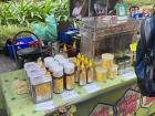 A beekeeper selling honey at a market on campus