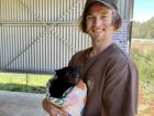 That is a Tasmanian devil, not a koala of which Sam is terrified!