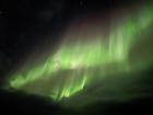 Aurora - ribbons of dancing light across the night sky