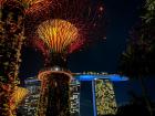 This is Singapore at night--a place called Gardens by the Bay.