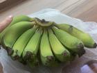 I like Taiwan's Hardy Bananas (芭蕉) because they are small and sweeter than regular bananas