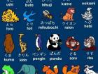 My favorite animal is ookami; what is your favorite animal? 