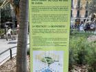 This sign describes the natural rain garden installed in a superblock
