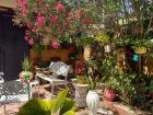 Many Dominicans reuse rainwater to water carefully-tended gardens