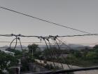 Mountains in the distance in Azua, a southern town with a drier climate