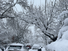 This is what the streets looked liked after it snowed all night