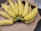 It's not a banana it's a... you know this one! (Here, they are called "oritos"!)) 