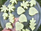 Our eucalyptus soaps are so cute!