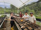 Planting trees for the future generation