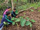 My host mom, the teacher of Mushullakta's Forest School, teaches students about ancestral farming practices 