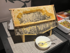 Honeycomb made by bees