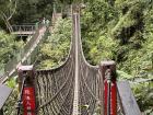 This scary-looking rope bridge wasn't actually quite as scary as it looks!