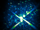 Basket cells are a type of interneuron, specifically inhibitory neurons that act through GABA... here are more four putative basket cells!