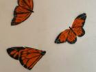 The city we were in, Valle de Bravo, loves its butterflies, and this is a painting of different sides of the butterfly
