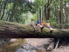 Hiking around the forest behind the ecovillage with Cam, Zinn and their parents