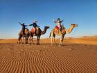 Camels are the original and most ancient vehicle in the Sahara