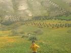 My young friend Badr enjoying the spring 