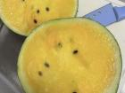 Watermelons here are yellow instead of pink!