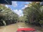 The Mekong Delta where you can find lots of wildlife, including the gecko!