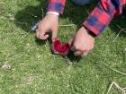The fruit from the cactus is called "tuna"; it is very sweet, but be careful to not get opened!