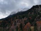 A bold alpine mountain peeking out from the colorful fall foliage! 