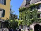 Trees, flowers and vines grow everywhere in Freiburg, even up the walls of people's houses!