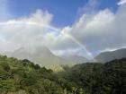 I saw several rainbows like this one during my time in the cloud forest. It was so magical!