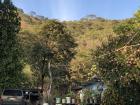 An afternoon view of a house on the outskirts of Coalcomán