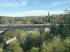 Views of Bern during my run, with bridges, a flowing river, and lush trees.