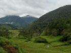 Una vista de un valle al lado de mi casa, todo verde