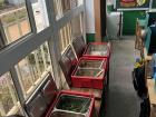 Food distributed for students to eat