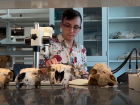 Since I study animal fossils, my lab is full of animal bones