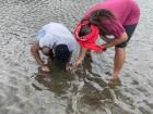 In Nataleira village with local scientist planting seagrass!