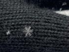 The perfect snowflake! Photo by Jay Mace
