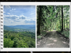 I went on a hike in the Black Forest