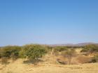 The Savannah landscapes in Namibia are beautiful