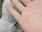 When you touch an old bone, you can start to see dust coming from it
