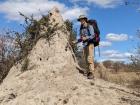 We found termites at another one of our posts