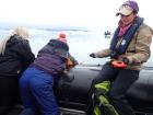 Citizen Science in the Arctic 2018