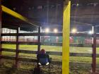 The ground-level view in the redondel, up close and personal with the bulls