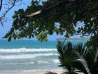The stunning beach in Parque Nacional Cahuita