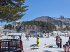 There were many snowboarders and families!