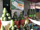 Nicely presented avocados at a fruit stand 