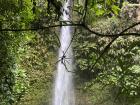 Waterfall in the Amazon