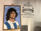 A painting of Mario Alberto Kempes, the famous soccer player after which the stadium was named