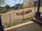 A pastoral area of the high school, where students raise goats when school is in session